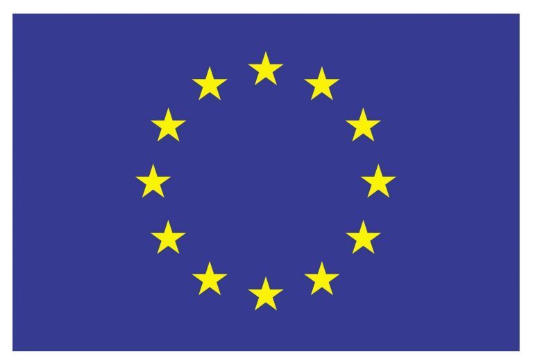 Hver EU-borger spiste halvannet kilo laks