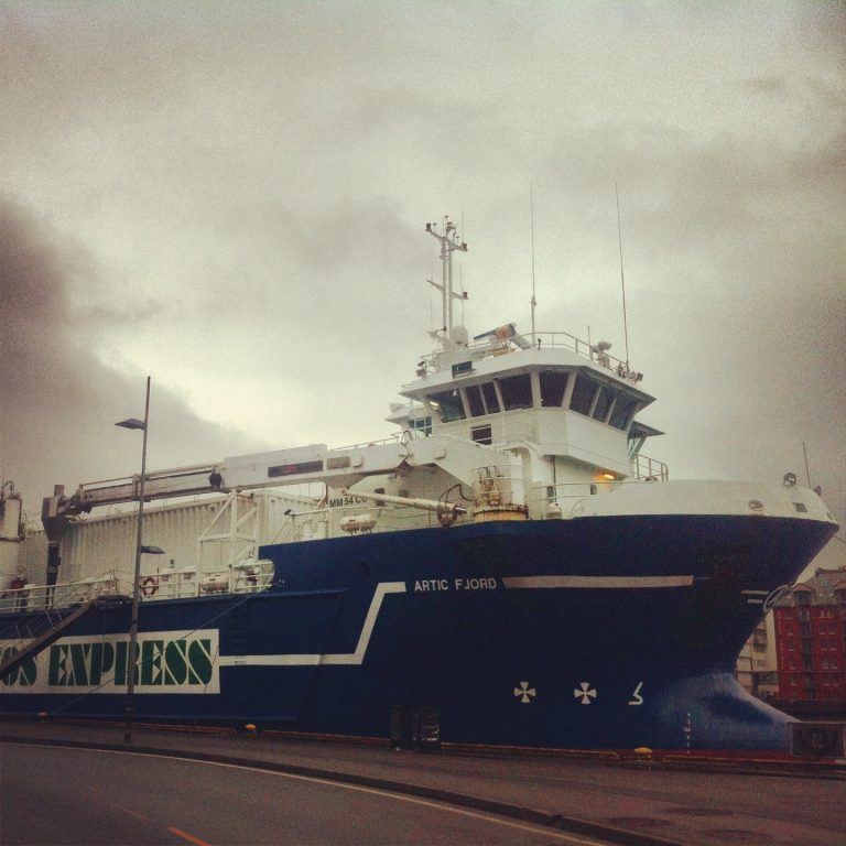 Størrelsen teller i fiskefôr