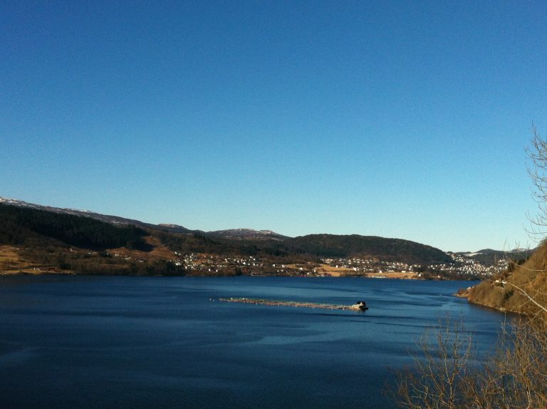 – En skjult perle