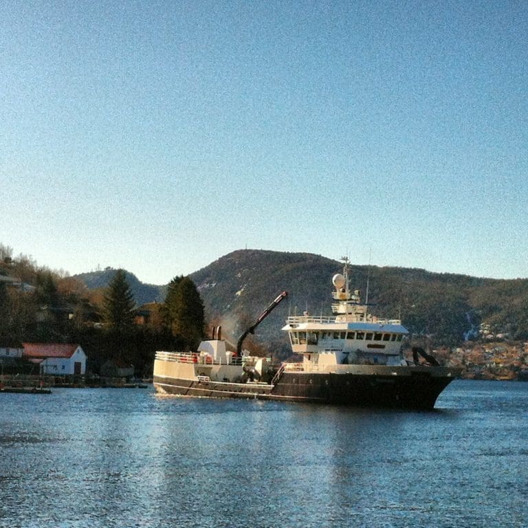 Høyeste laksesalg siden april