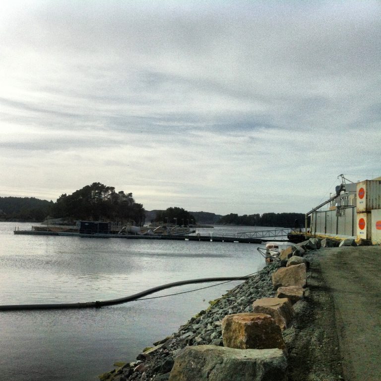 Nytt innsidesalg i Austevoll Seafood
