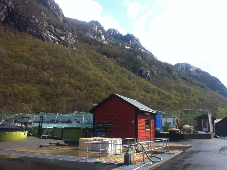 4,2 prosent i verditap på Statens Cermaq-aksjer