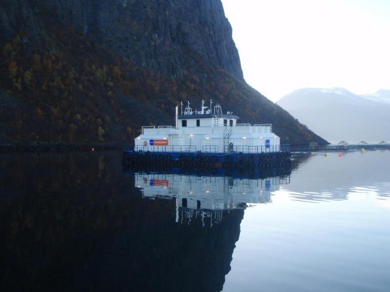 Trøblete år for Ocea