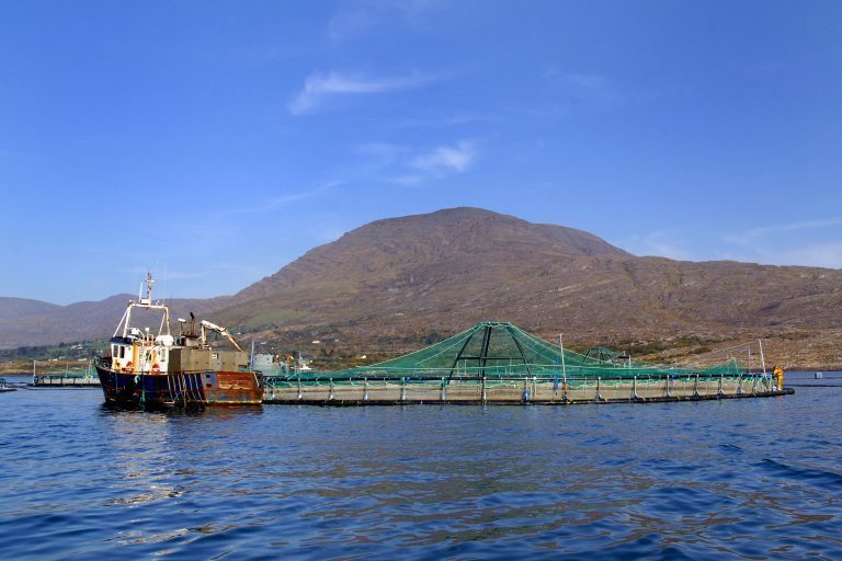Chile lukker prisgapet