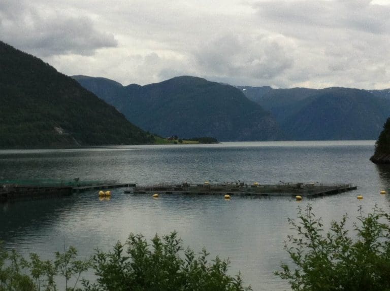 Hvor er de ødelagte fjordene?