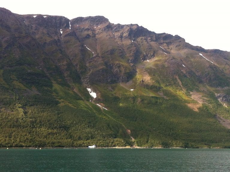 Solid fra SalMar
