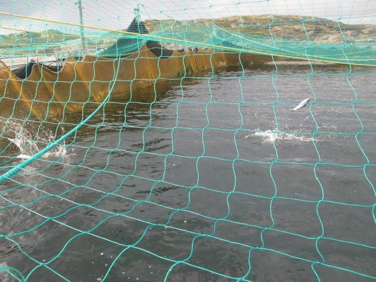 – Ingen rom for slurv i internkontrollen