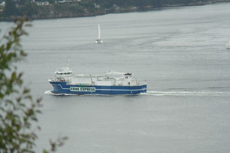 Rådgir oppdretterne i sommervarmen
