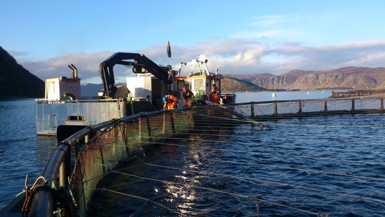 Dempede slaktevolumer, men biomassen ligger fortsatt under fjoråret