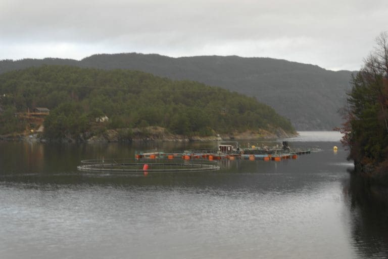 Forsker på utslipp