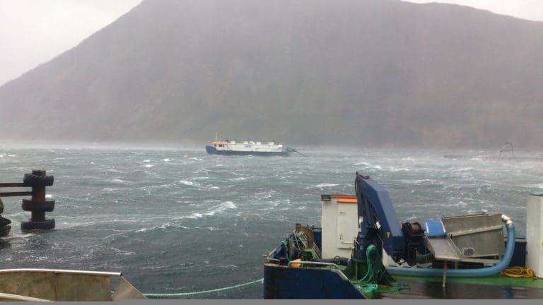 Hevder årlig rømming er 1,5 mill fisk
