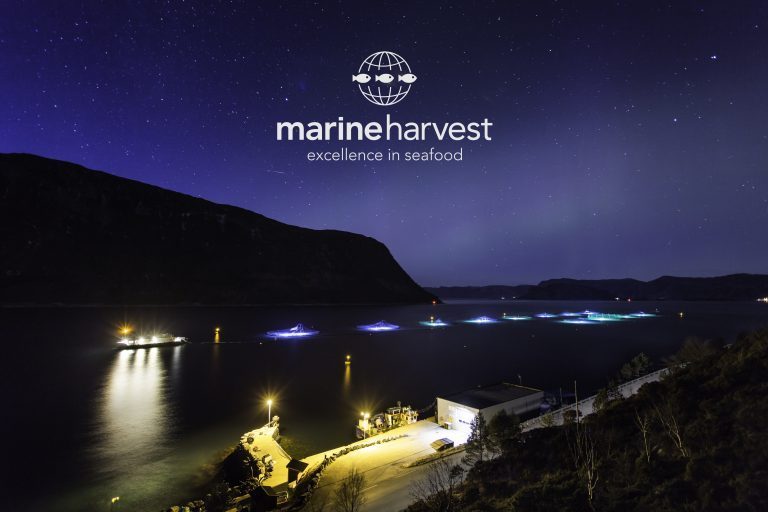 Tar opp dekning av Marine Harvest