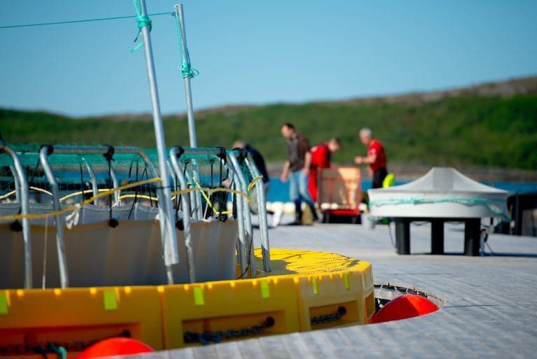 Bevilger 900.000 til havbruksklynge
