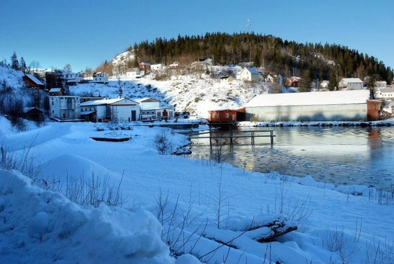 Må slakte inntil to millioner fisk etter ras