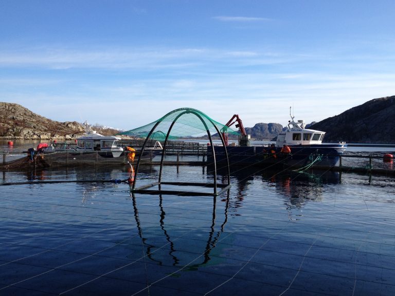 SalmoNor går inn i Salmon Group