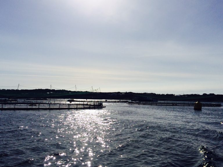 Cooke i tenkeboksen