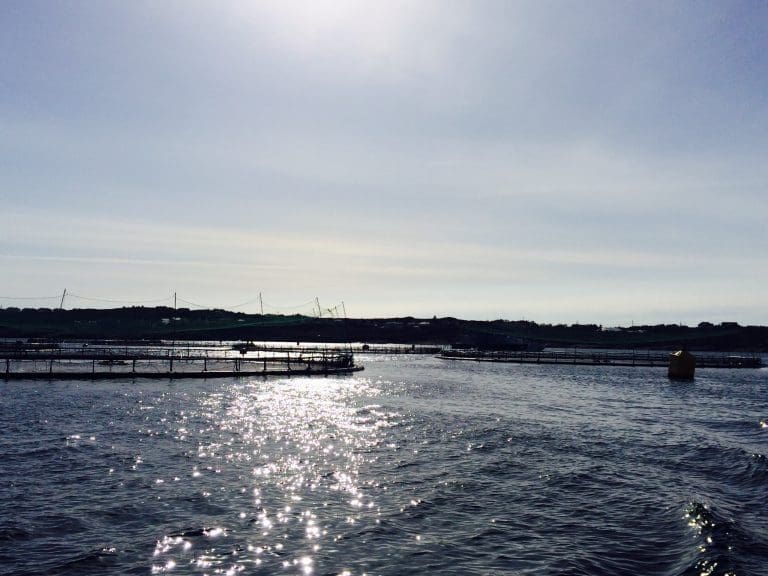 Mistanke om ny rømming i nord