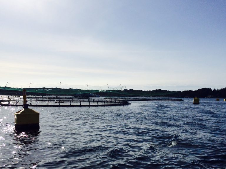 Rydder opp for naboen