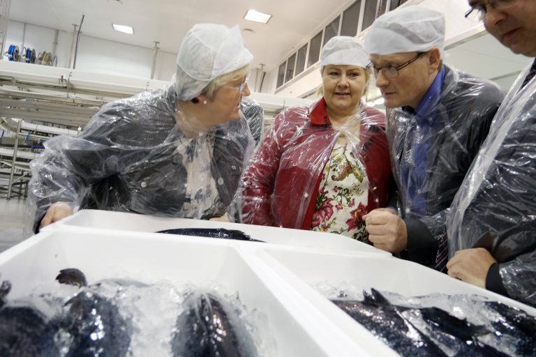Varsler Cermaq-salg i juni?