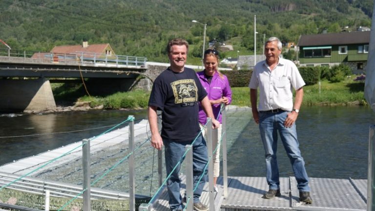 Her stoppes oppdrettslaksen