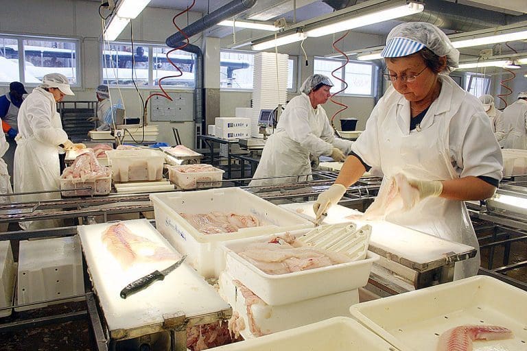 Uni Research beklager overfor fôrindustrien