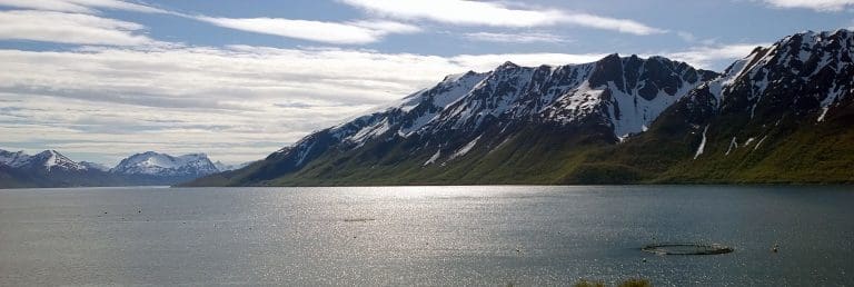 Merd, mær, oppdrettslokalitet i Kvæfjorden, eies av Nordlaks. Foto: GEIR BJØRN NILSEN