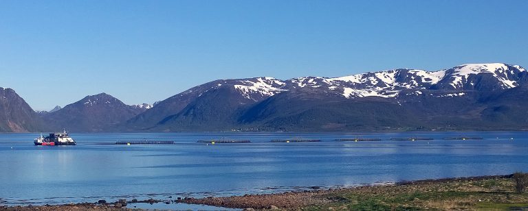 Merd, mær, oppdrettslokalitet i Sortland, eid av Eidsfjord Sjøfarm. Foto: GEIR BJØRN NILSEN