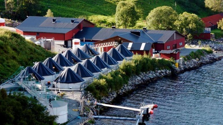 Veistenging rammer Marine Harvest-anlegg