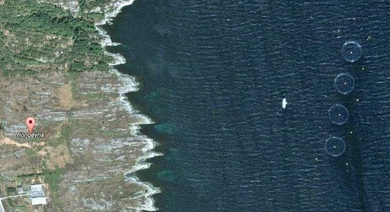 Sliter i Hjeltefjorden