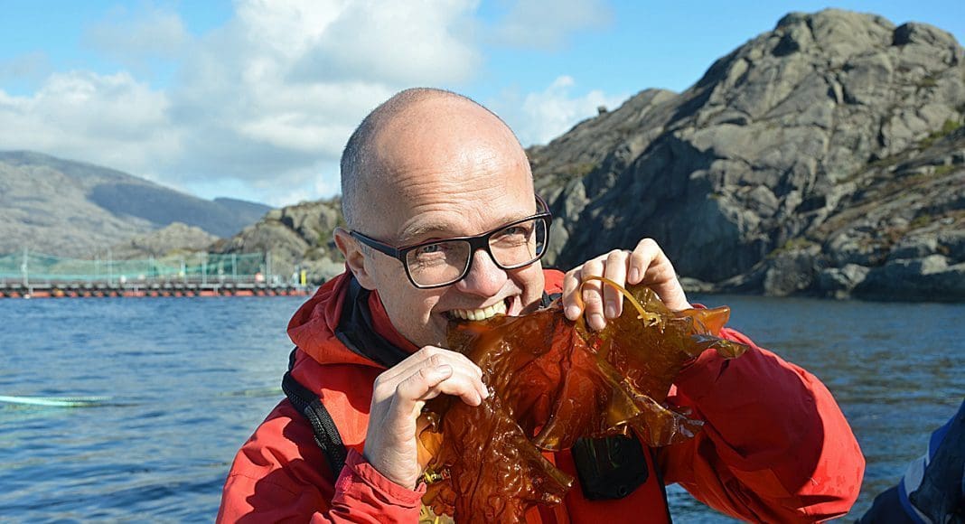 Vidar Helgesen er europaminister. Foto: UD