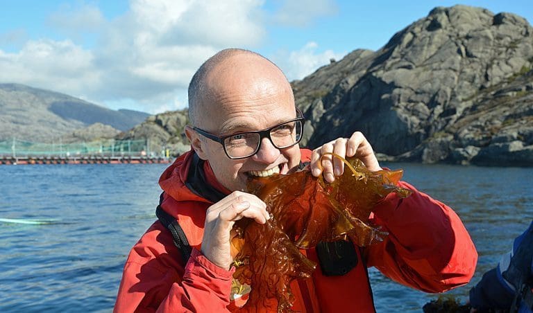 Vidar Helgesen er europaminister. Foto: UD