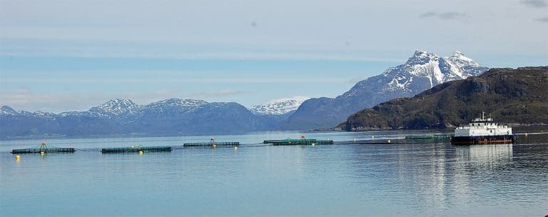 Ny overskuddsrekord for Kleiva Fiskefarm