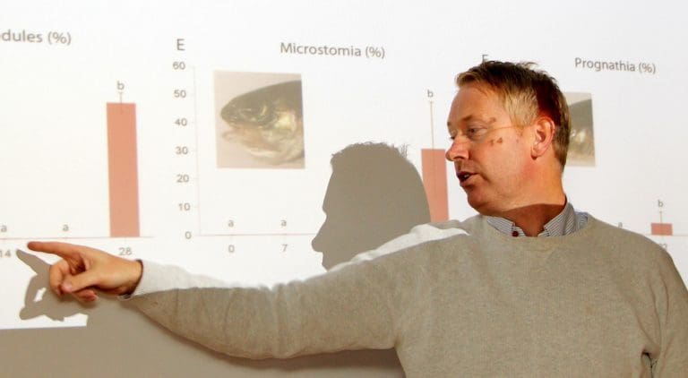 Stor åpenhet for best mulig fiskehelse