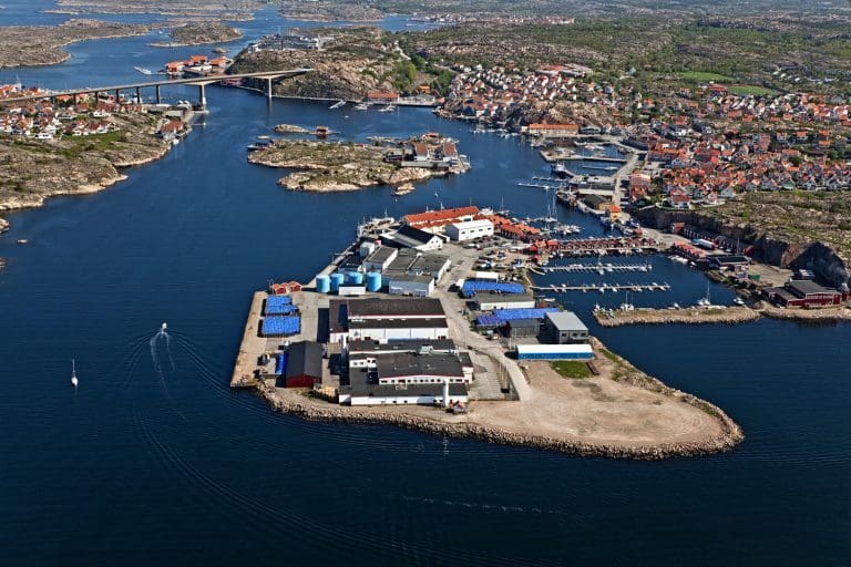 Lofotprodukt overtar Domstein Foods