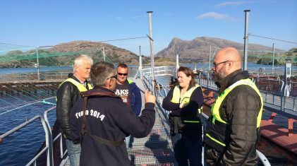 Orienteringar-på-lokalitet-Furuholmen.-Frå-venstre-Tom-Færøy,-Øystein-Espeland,-Eivind-Espeland,-Linne-Lending-og-Sigve-Lerpold