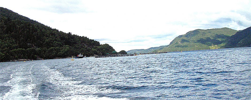 10213 Naustneset i Gjemnes kommune . Foto: FISKERIDIREKTORATET MERD, BÅT, LERØY MIDT