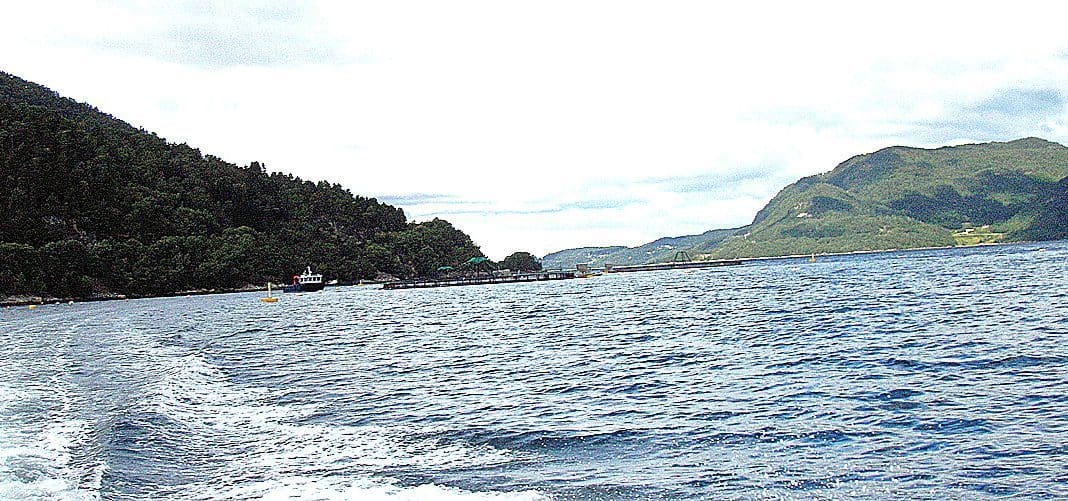 10213 Naustneset i Gjemnes kommune . Foto: FISKERIDIREKTORATET MERD, BÅT, LERØY MIDT
