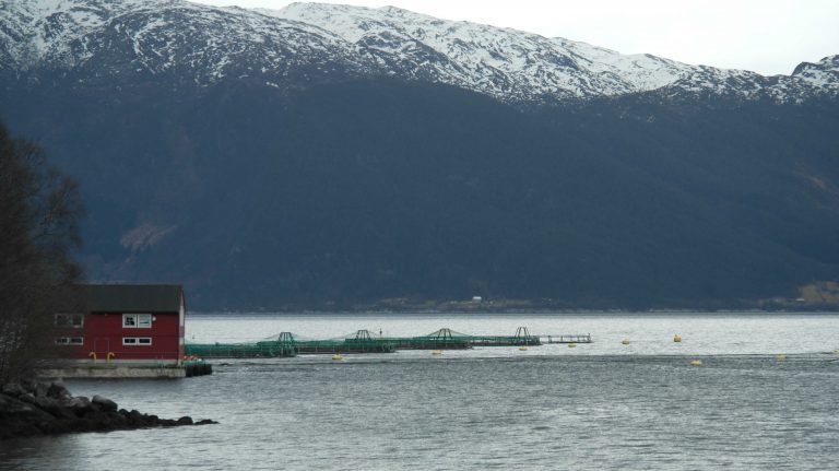 Prishopp til påske