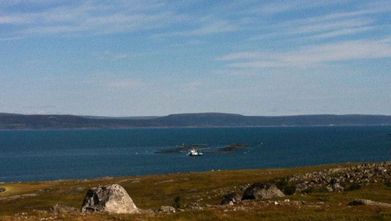 Vil stoppe vekst i Finnmark