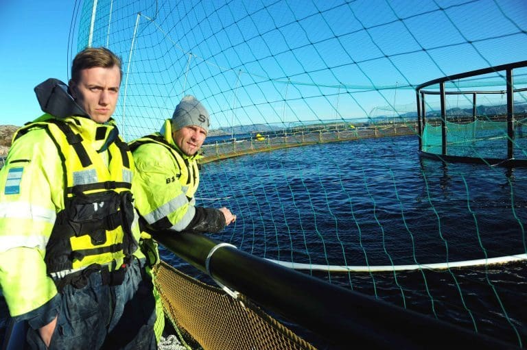 Styrer lavt for å lure lusa