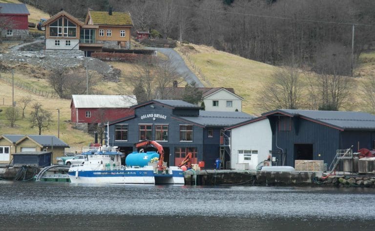 NRK sender direkte fra Osland Havbruk