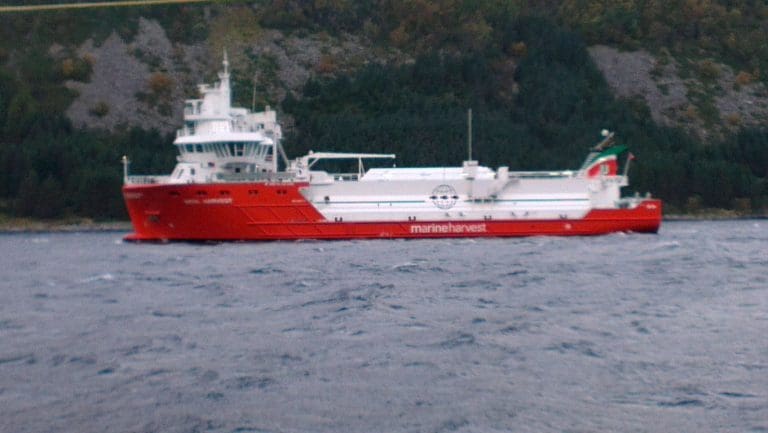 Fôrprisen over ti kroner kiloet