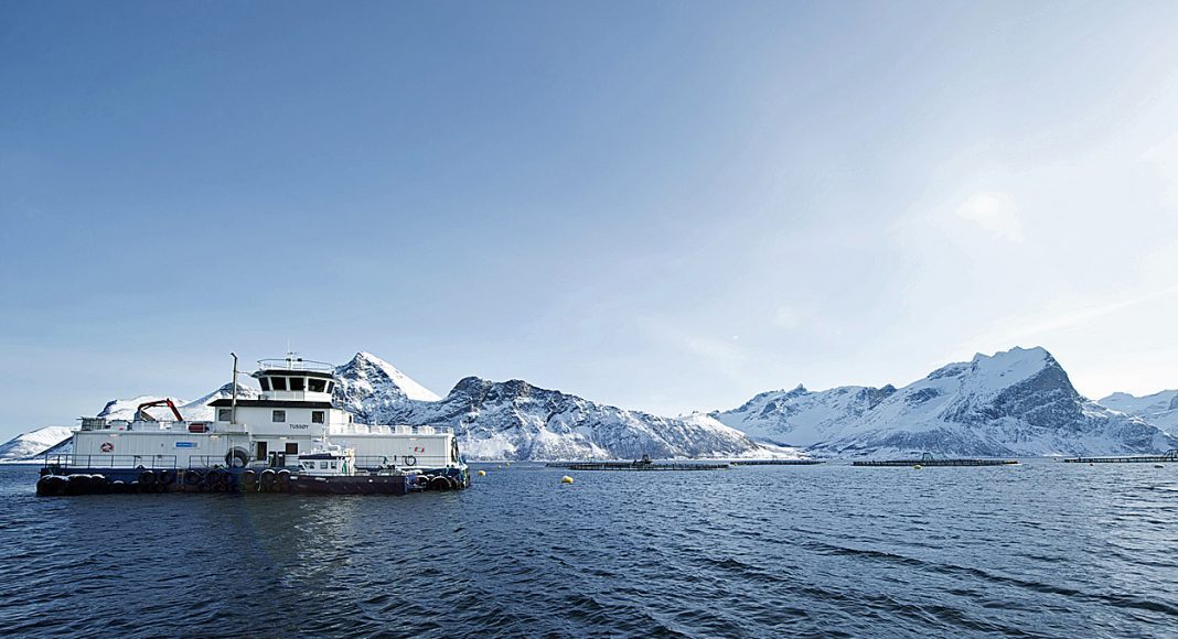 Forflåte, flåte, merd, oppdrett. FOTO: Johan Wildhagen/norges sjømatråd