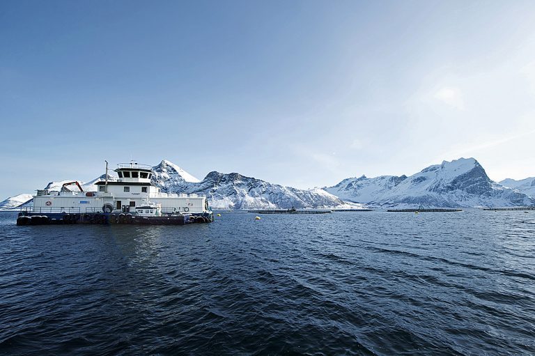 Forflåte, flåte, merd, oppdrett. FOTO: Johan Wildhagen/norges sjømatråd