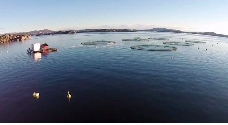 Plastsveis med napp hos Marine Harvest