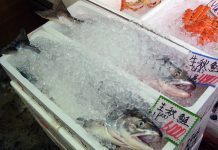 Innovasjon Norges Japan-direktør: – Et interessant marked for norske leverandører til havbruk