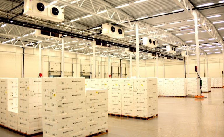 – Et gedigent mageplask