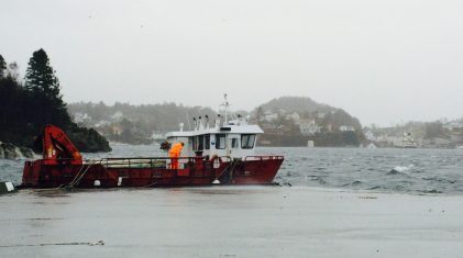 stormalvøen