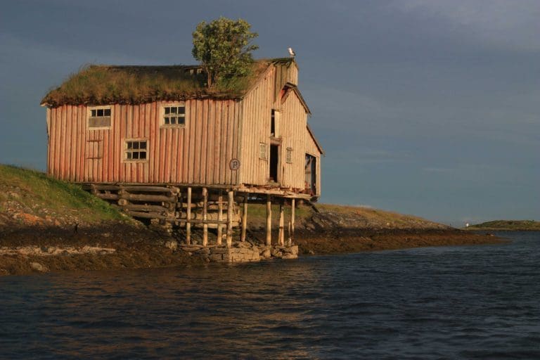 Nordlands trompet