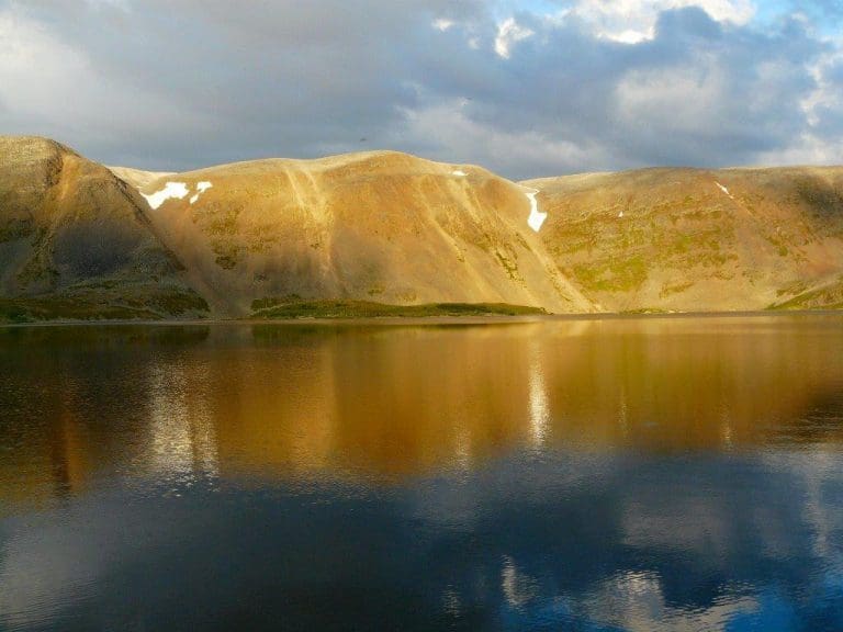 Kong Ari av Kirkenes